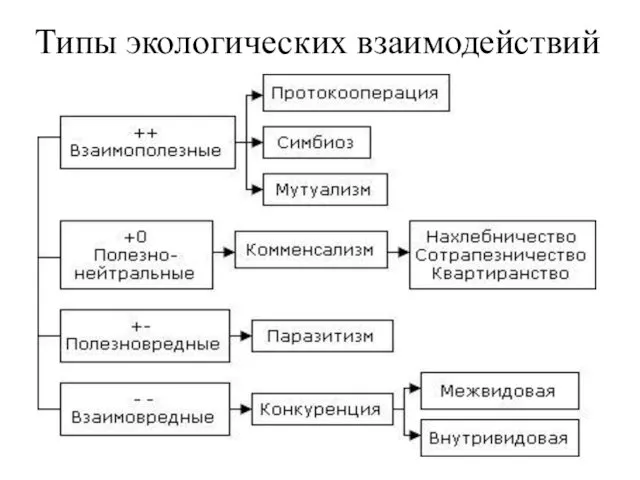 Типы экологических взаимодействий