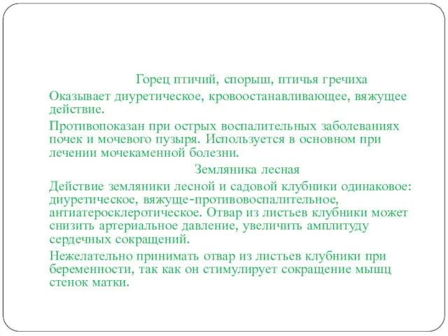 Горец птичий, спорыш, птичья гречиха Оказывает диуретическое, кровоостанавливающее, вяжущее действие.