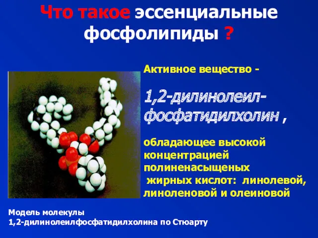 Активное вещество - 1,2-дилинолеил-фосфатидилхолин , обладающее высокой концентрацией полиненасыщеных жирных кислот: линолевой, линоленовой
