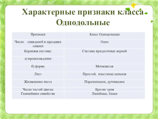 Характерные признаки класса Однодольные