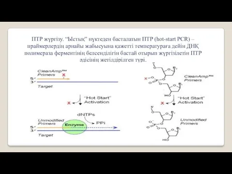 ПТР жүргізу. “Ыстық” нүктеден басталатын ПТР (hot-start PCR) – праймерлердің