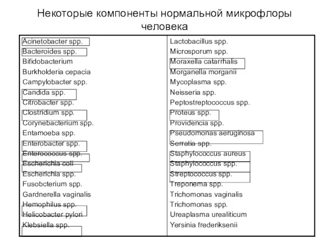 Некоторые компоненты нормальной микрофлоры человека