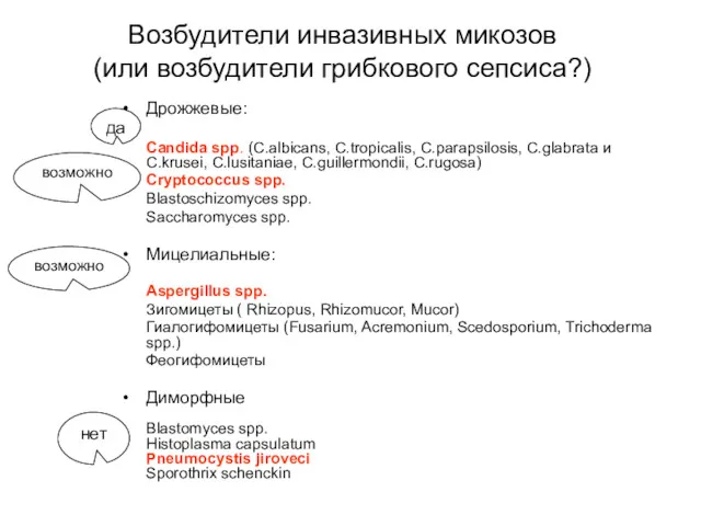 Возбудители инвазивных микозов (или возбудители грибкового сепсиса?) Дрожжевые: Candida spp.