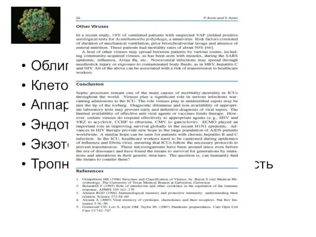 Вирусы и сепсис Облигатные патогены Клеточная стенка – нет Аппарат