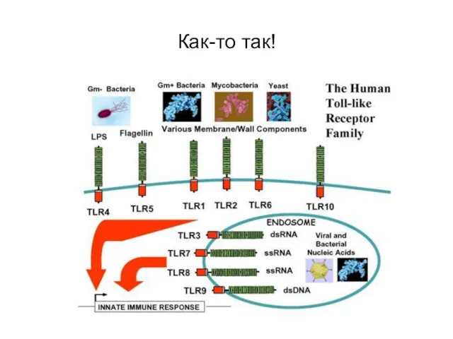 Как-то так!