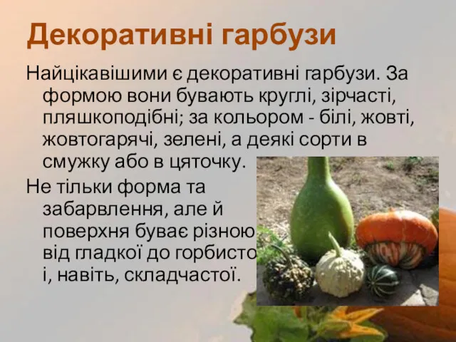 Найцікавішими є декоративні гарбузи. За формою вони бувають круглі, зірчасті,