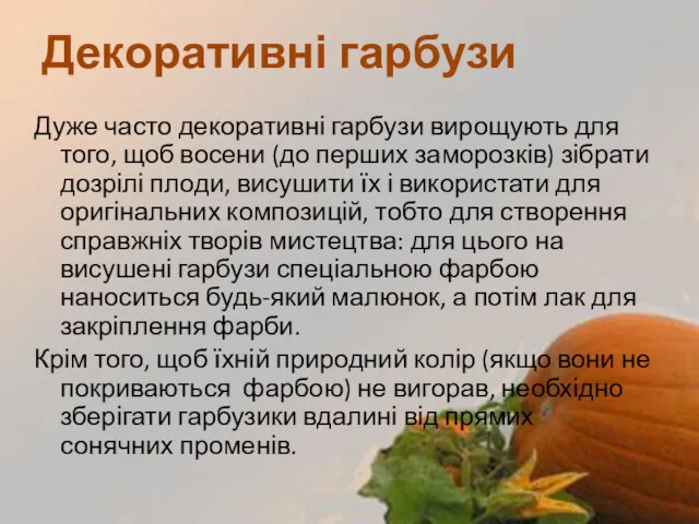 Дуже часто декоративні гарбузи вирощують для того, щоб восени (до