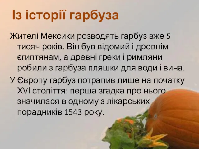 Жителі Мексики розводять гарбуз вже 5 тисяч років. Він був