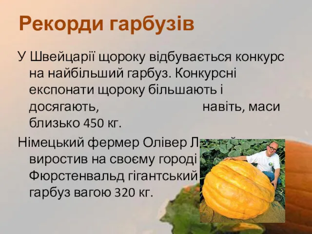 У Швейцарії щороку відбувається конкурс на найбільший гарбуз. Конкурсні експонати