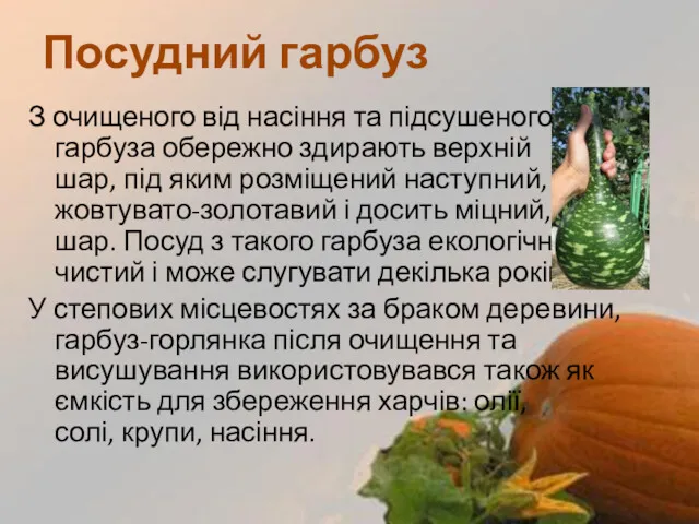 З очищеного від насіння та підсушеного гарбуза обережно здирають верхній