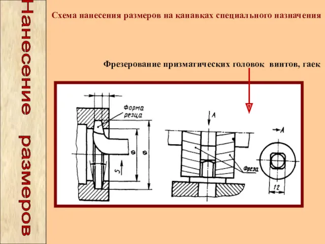 Схема нанесения размеров на канавках специального назначения Фрезерование призматических головок винтов, гаек