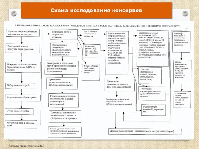 Схема исследования консервов Кафедра паразитологии и ВСЭ