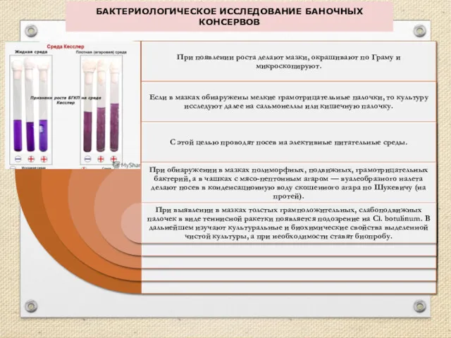 БАКТЕРИОЛОГИЧЕСКОЕ ИССЛЕДОВАНИЕ БАНОЧНЫХ КОНСЕРВОВ