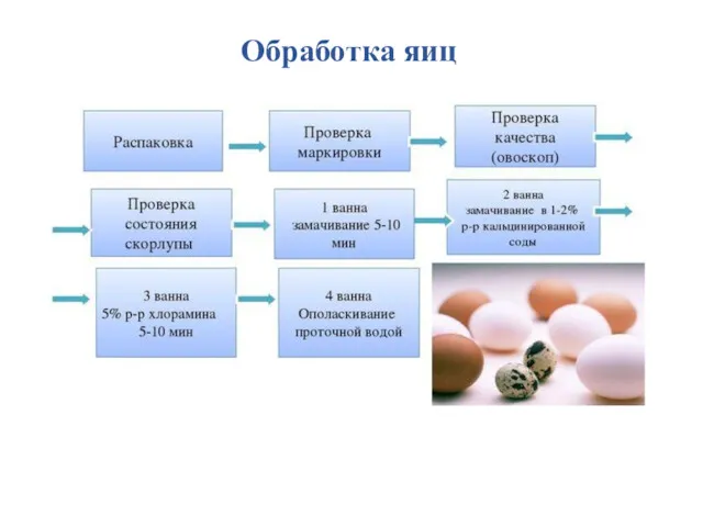 Обработка яиц