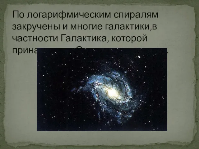 По логарифмическим спиралям закручены и многие галактики,в частности Галактика, которой принадлежит Солнечная система.