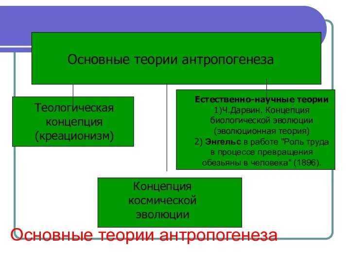 Основные теории антропогенеза Основные теории антропогенеза Теологическая концепция (креационизм) Естественно-научные