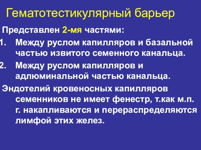 Гематотестикулярный барьер Представлен 2-мя частями: Между руслом капилляров и базальной