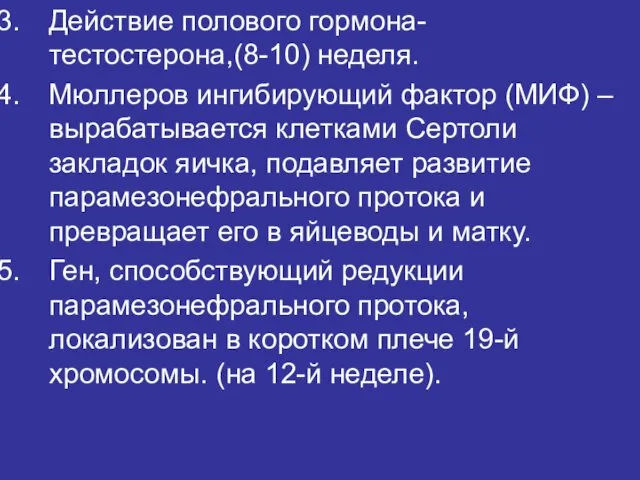 Действие полового гормона- тестостерона,(8-10) неделя. Мюллеров ингибирующий фактор (МИФ) –