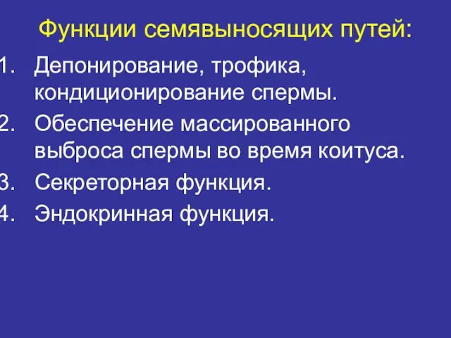 Функции семявыносящих путей: Депонирование, трофика, кондиционирование спермы. Обеспечение массированного выброса