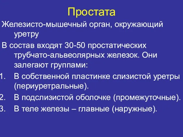 Простата Железисто-мышечный орган, окружающий уретру В состав входят 30-50 простатических