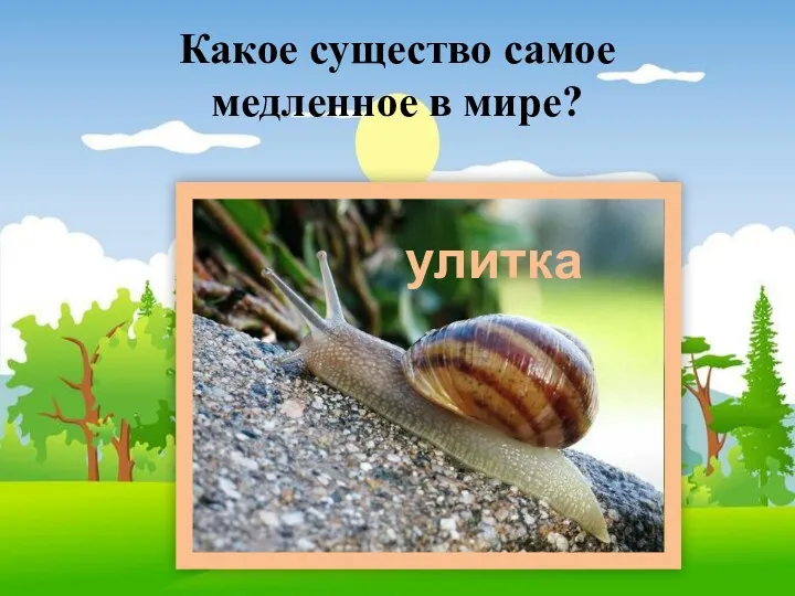 Какое существо самое медленное в мире? улитка