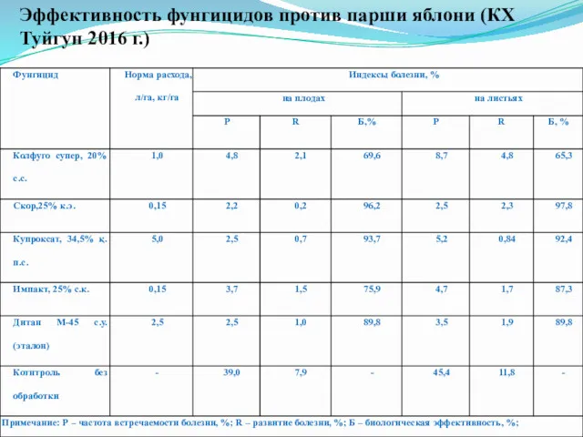 Эффективность фунгицидов против парши яблони (КХ Туйгун 2016 г.)