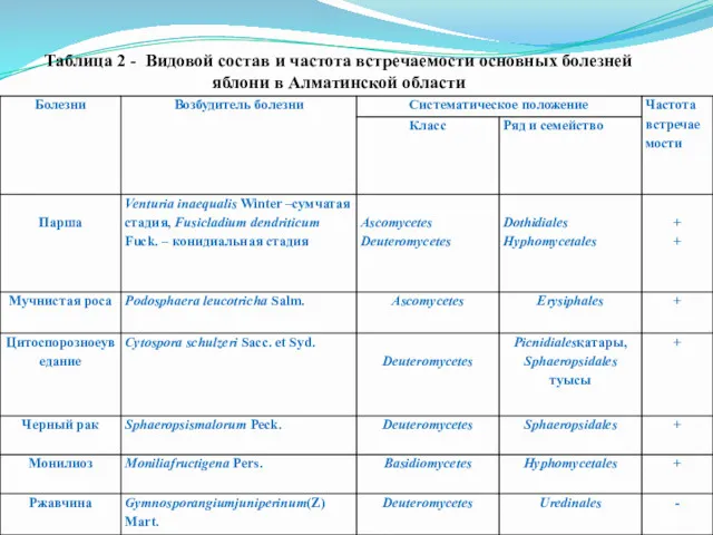 Таблица 2 - Видовой состав и частота встречаемости основных болезней яблони в Алматинской области