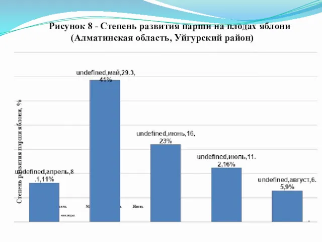 Рисунок 8 - Степень развития парши на плодах яблони (Алматинская область, Уйгурский район)