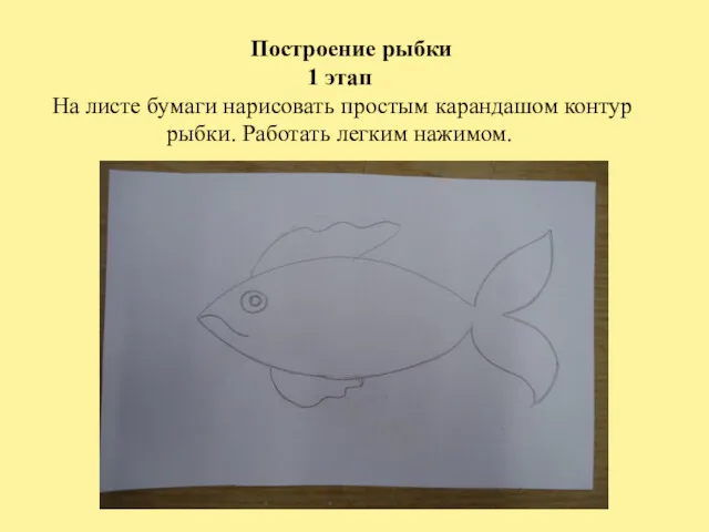 Построение рыбки 1 этап На листе бумаги нарисовать простым карандашом контур рыбки. Работать легким нажимом.
