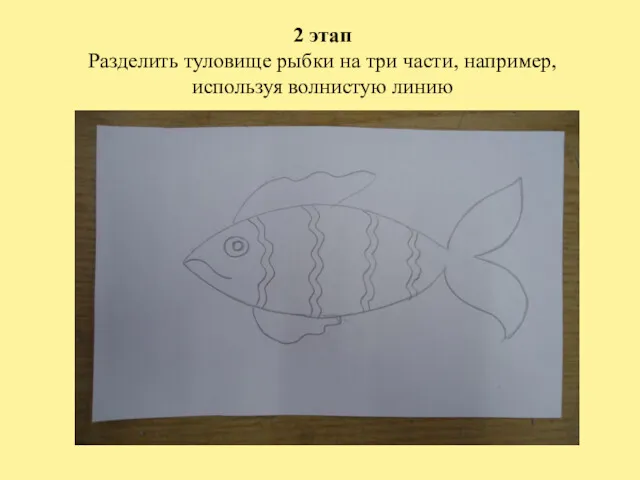 2 этап Разделить туловище рыбки на три части, например, используя волнистую линию