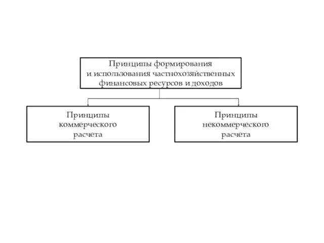 Принципы формирования и использования частнохозяйственных финансовых ресурсов и доходов Принципы коммерческого расчета Принципы некоммерческого расчета