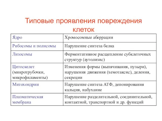 Типовые проявления повреждения клеток