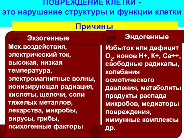 ПОВРЕЖДЕНИЕ КЛЕТКИ - это нарушение структуры и функции клетки Причины