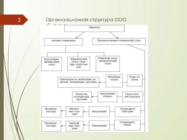 Организационная структура ООО «Биакон»