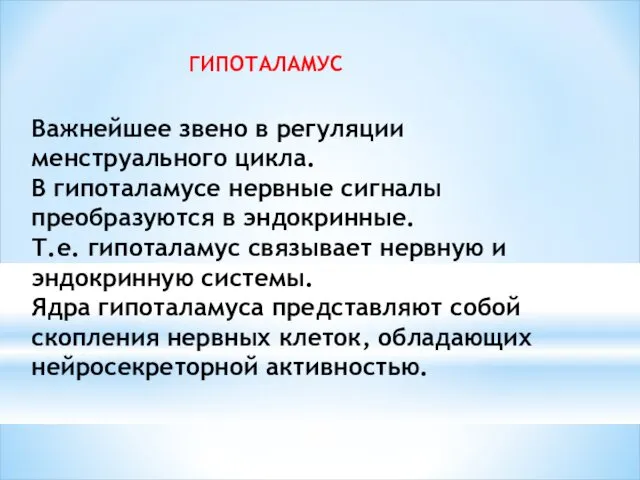 ГИПОТАЛАМУС Важнейшее звено в регуляции менструального цикла. В гипоталамусе нервные сигналы преобразуются в