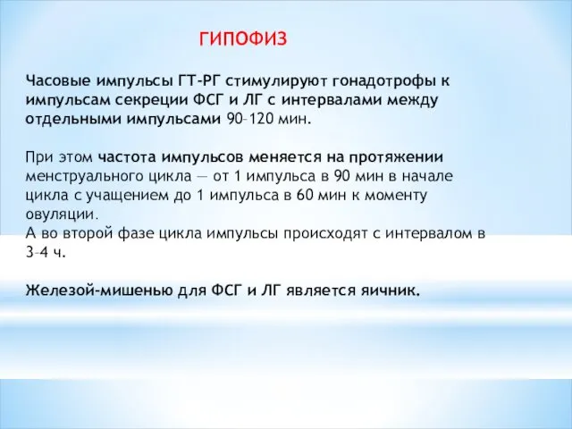 ГИПОФИЗ Часовые импульсы ГТ-РГ стимулируют гонадотрофы к импульсам секреции ФСГ