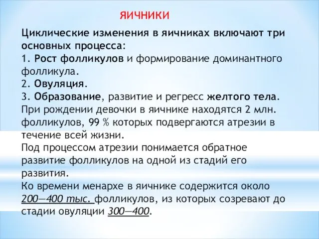 ЯИЧНИКИ Циклические изменения в яичниках включают три основных процесса: 1. Рост фолликулов и