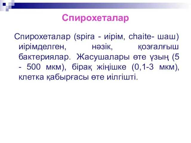 Спирохеталар Спирохеталар (spira - иірім, chaite- шаш) иірімделген, нәзік, қозғалғыш