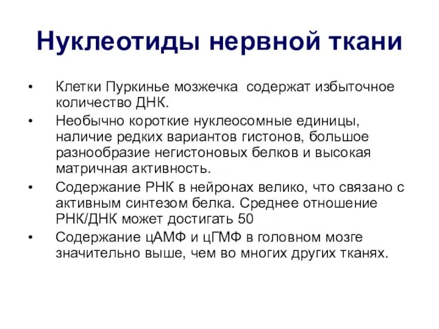 Нуклеотиды нервной ткани Клетки Пуркинье мозжечка содержат избыточное количество ДНК.