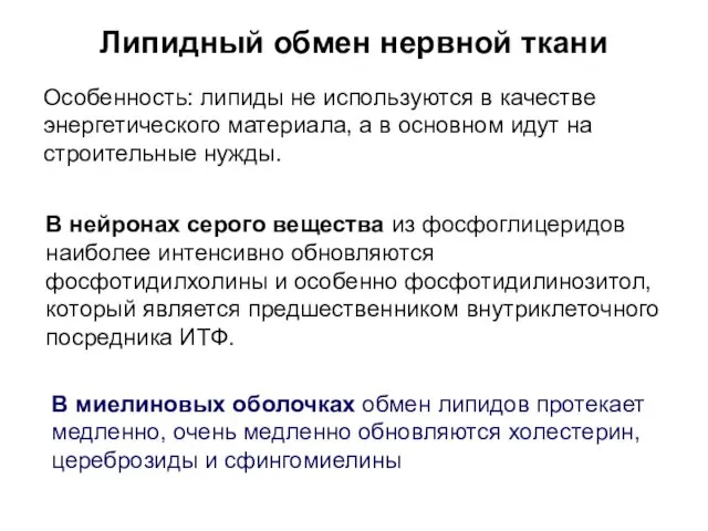 Липидный обмен нервной ткани Особенность: липиды не используются в качестве