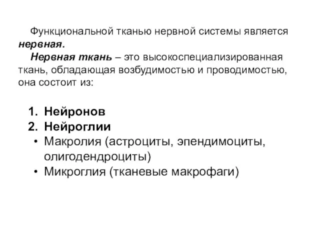 Функциональной тканью нервной системы является нервная. Нервная ткань – это