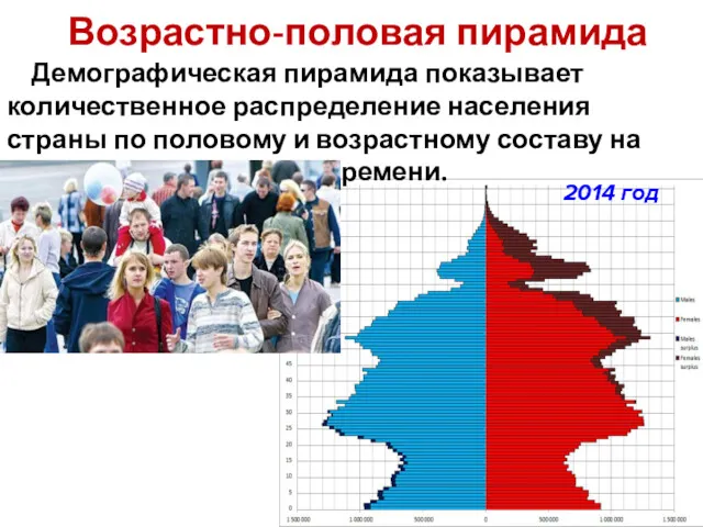 Возрастно-половая пирамида Демографическая пирамида показывает количественное распределение населения страны по