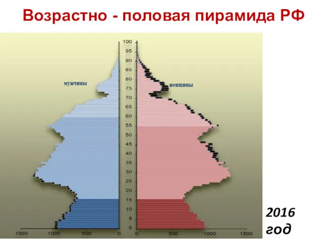 Возрастно - половая пирамида РФ 2016 год