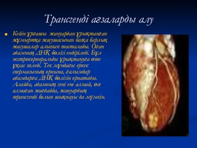 Трансгенді ағзаларды алу Кейін ұрғашы жануардан ұрықтанған жұмыртқа жасушасынан басқа