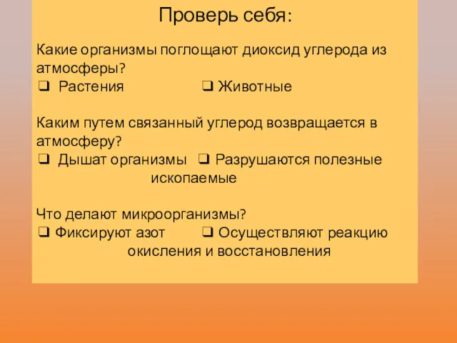 Проверь себя: Какие организмы поглощают диоксид углерода из атмосферы? ❑