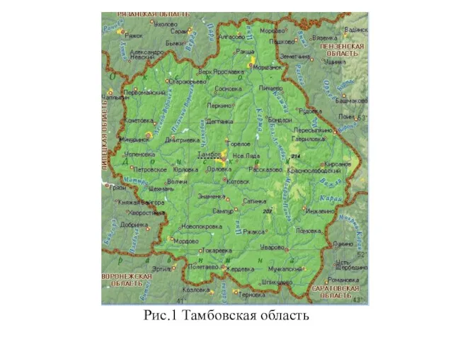 Рис.1 Тамбовская область