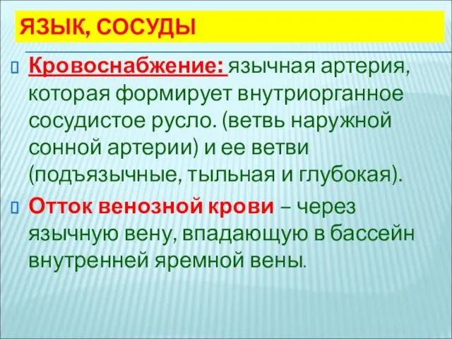 ЯЗЫК, СОСУДЫ Кровоснабжение: язычная артерия, которая формирует внутриорганное сосудистое русло.