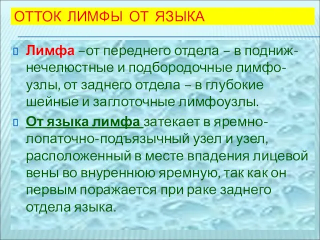 ОТТОК ЛИМФЫ ОТ ЯЗЫКА Лимфа –от переднего отдела – в