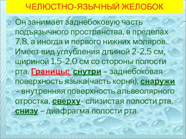 ЧЕЛЮСТНО-ЯЗЫЧНЫЙ ЖЕЛОБОК Он занимает заднебоковую часть подъязычного пространства, в пределах