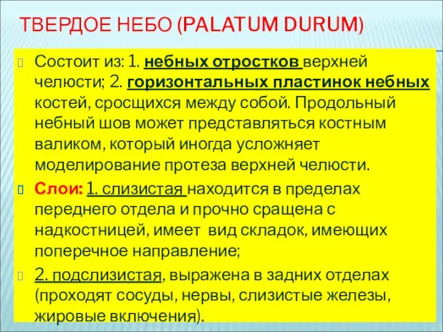 ТВЕРДОЕ НЕБО (PALATUM DURUM) Состоит из: 1. небных отростков верхней